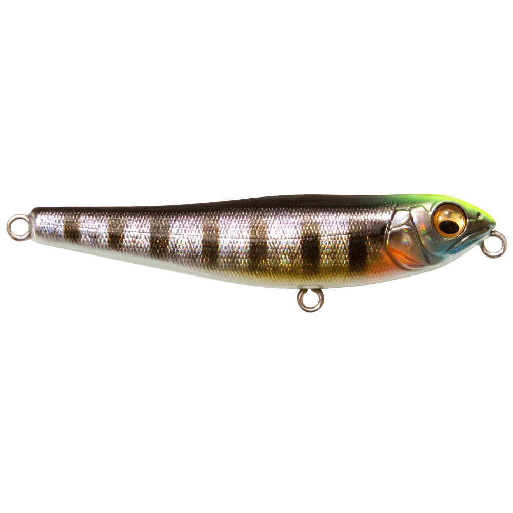 Megabass Dog-X Jr. Coayu BFS fishing lure with a realistic fish pattern featuring a silver body, dark vertical stripes, and green head detail, designed for effective fishing tackle use.