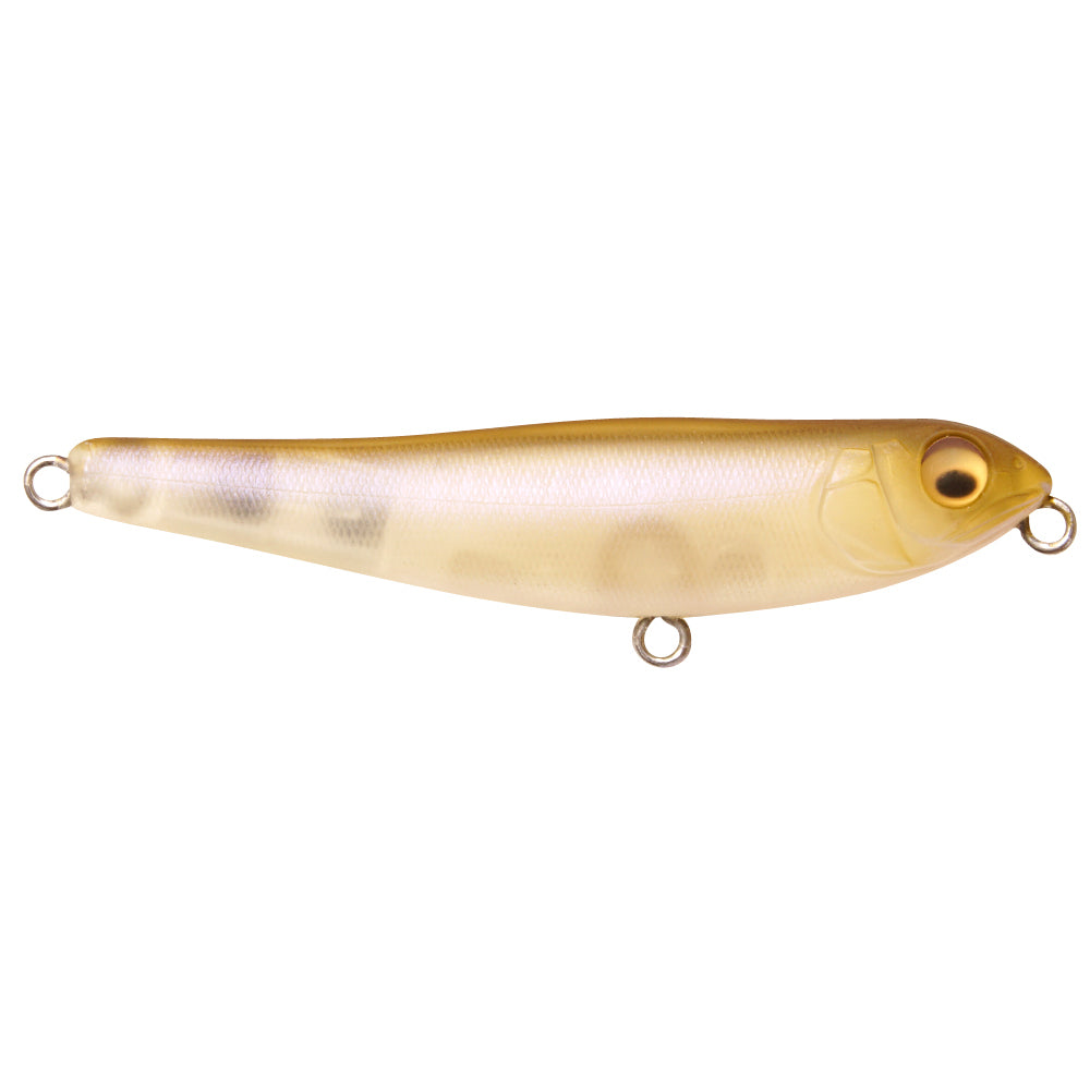 Megabass Dog-X Jr. Coayu BFS fishing lure with a translucent pale gold and white body, featuring realistic eyes and multiple attachment rings for fishing tackle use.