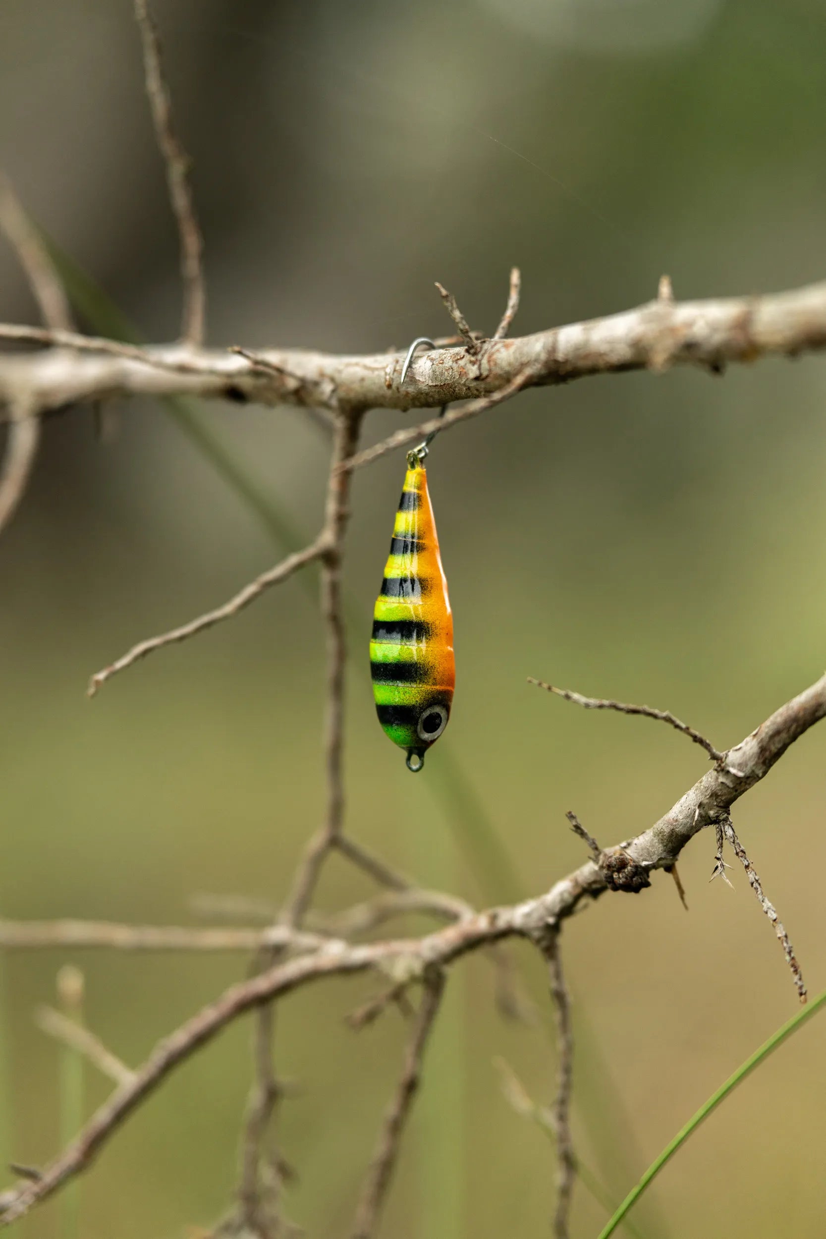 Fish Chase Flies Spiral Spook