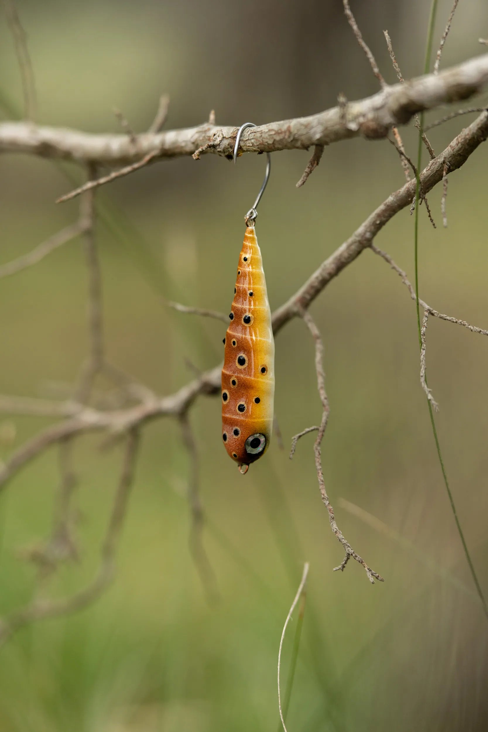 Fish Chase Flies Spiral Spook