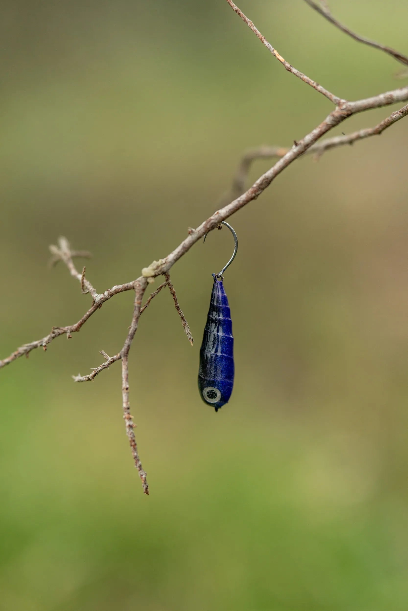 Fish Chase Flies Spiral Spook