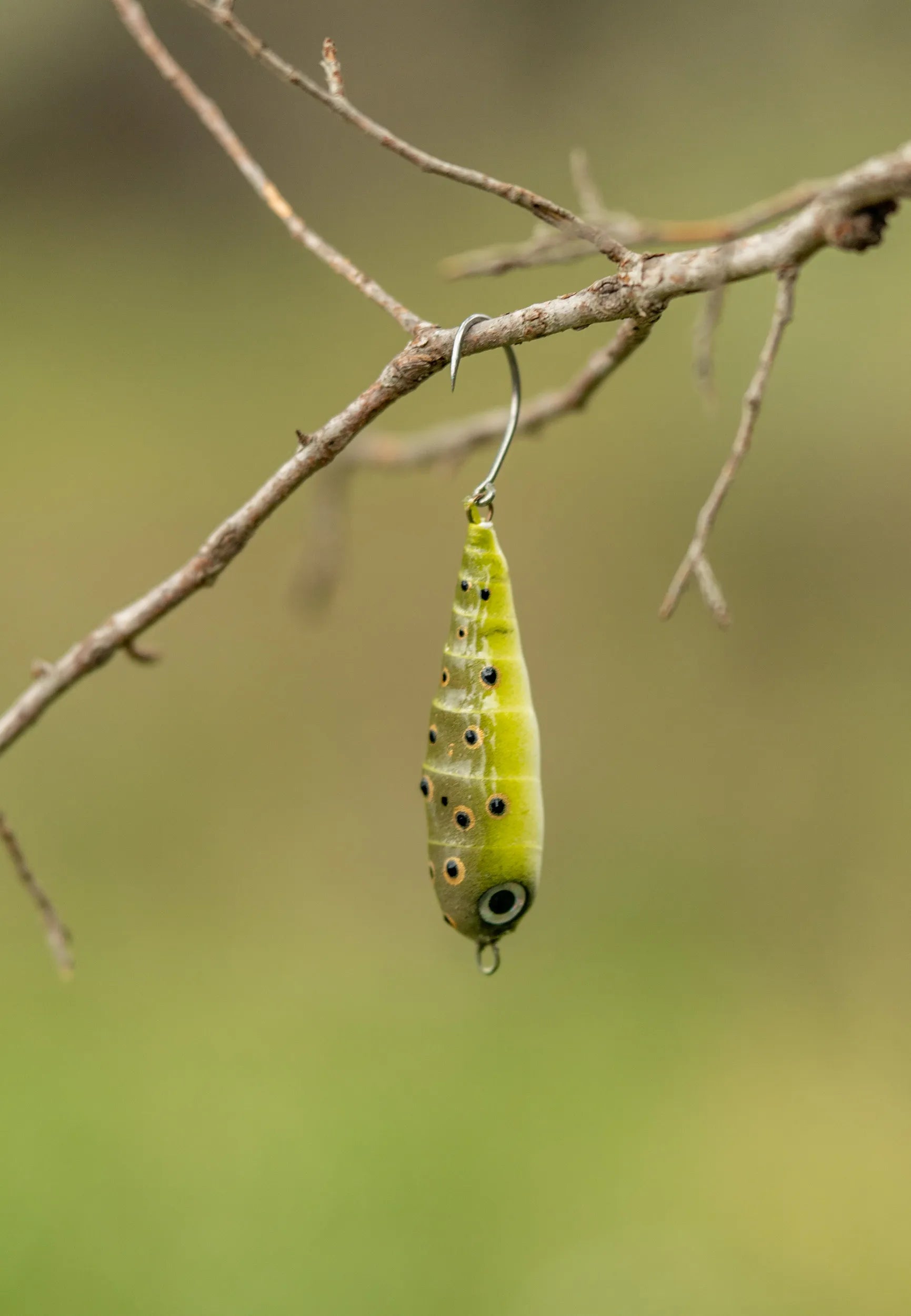 Fish Chase Flies Spiral Spook
