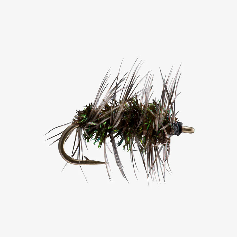Close-up of a detailed fishing fly with dark iridescent body and mottled feather hackle, designed as Griffith's Gnat for freshwater fly fishing tackle.