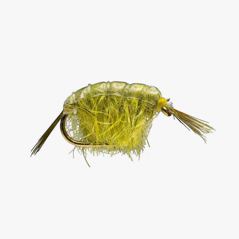 Close-up of a light olive Scud #14 fishing lure with synthetic fibers and a curved hook, designed for freshwater fly fishing tackle.
