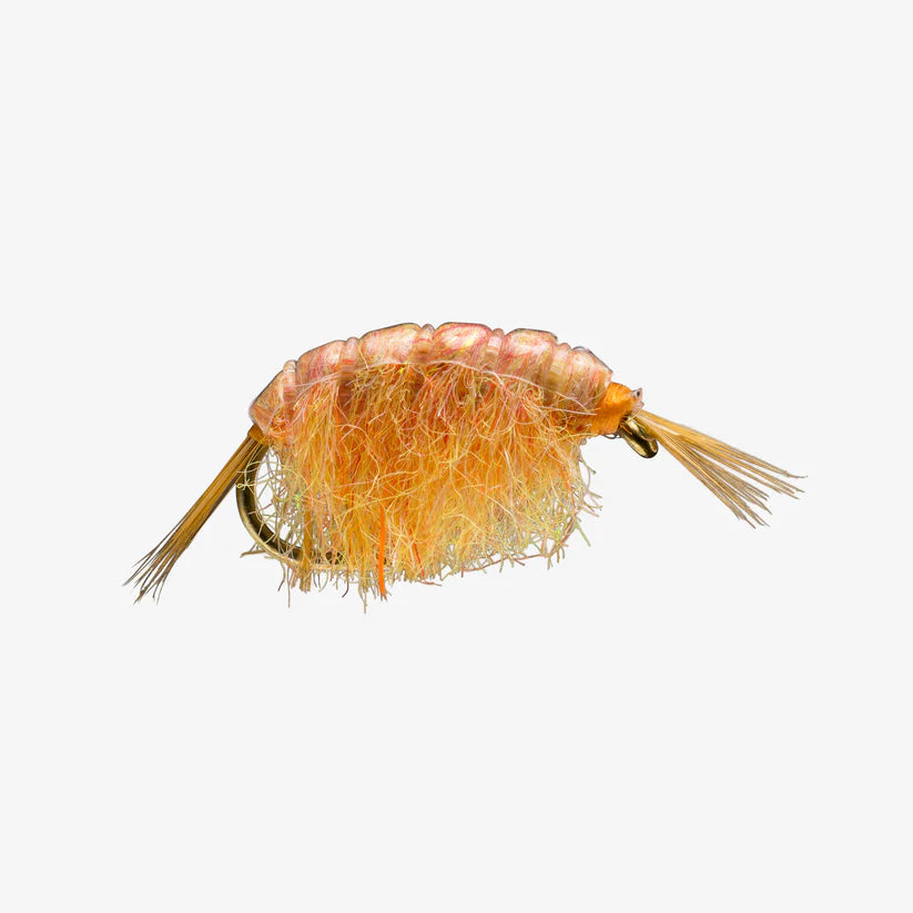 Close-up of an orange freshwater fishing fly named Scud #14, detailed with synthetic fibers and delicate legs designed to mimic aquatic insects for fly fishing tackle.