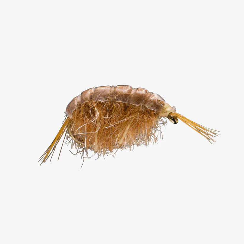 Close-up view of a tan fishing fly designed to imitate aquatic insects, featuring detailed fibers and a curved body, identified as Scud #14, ideal for fishing tackle enthusiasts.