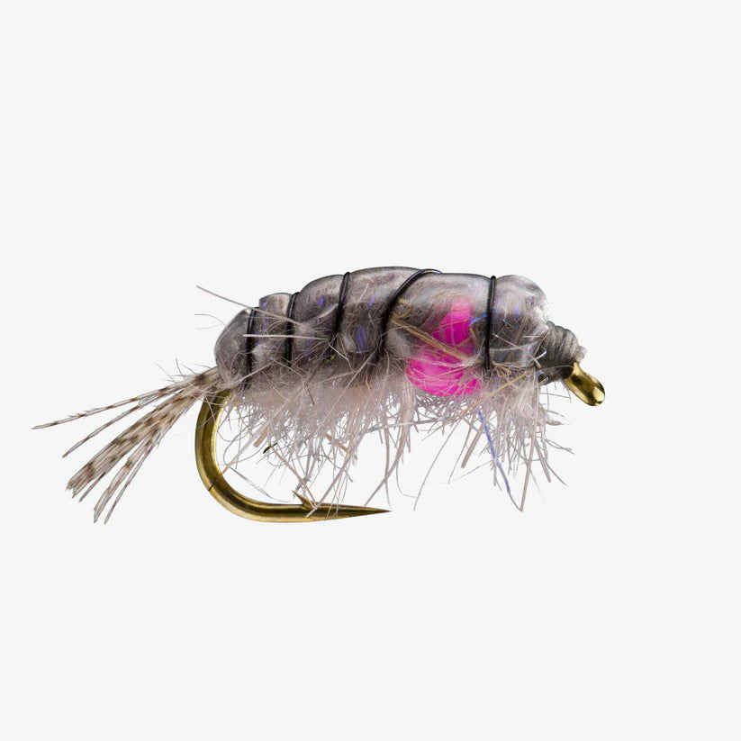 Close-up of a Midweight Scud #14 fishing lure featuring a curved gold hook, translucent gray segmented body with subtle iridescence, fuzzy fibers, and a small bright pink accent near the center.