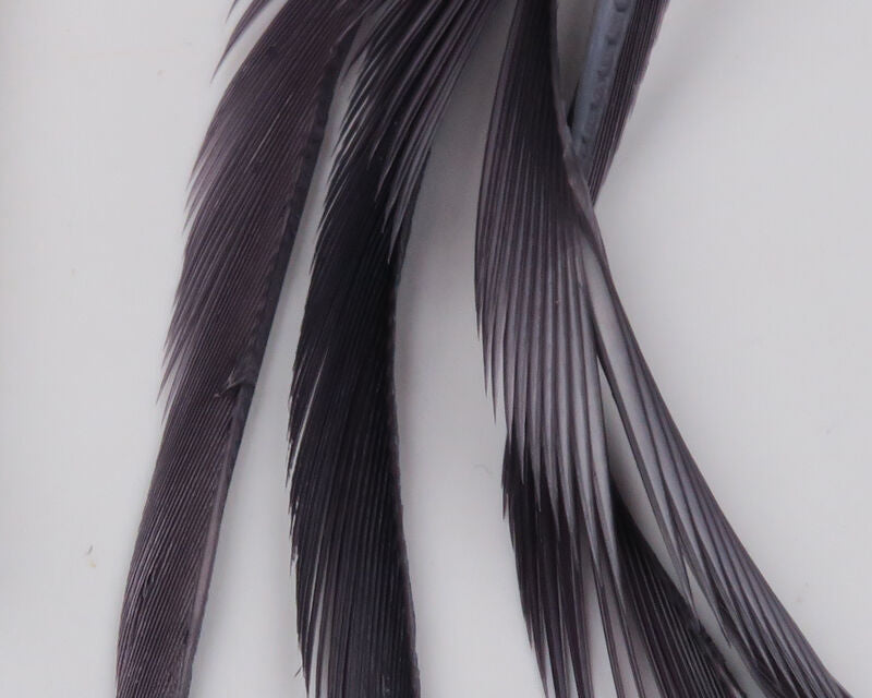 Spirit River Goose Biots