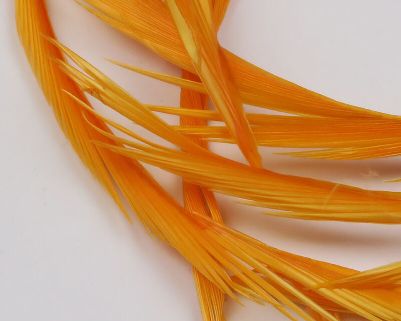 Spirit River Goose Biots