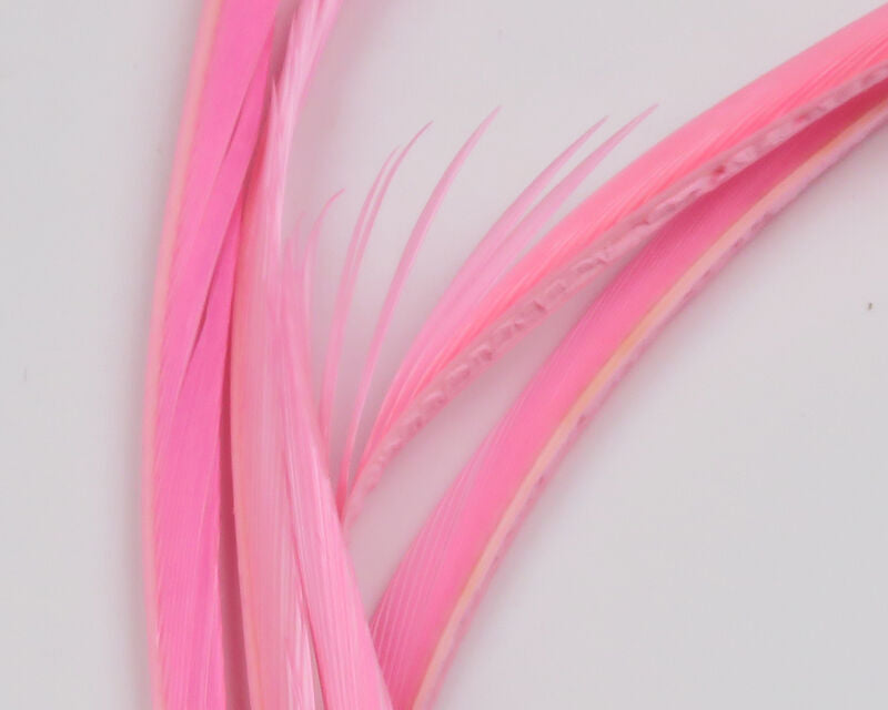 Spirit River Goose Biots