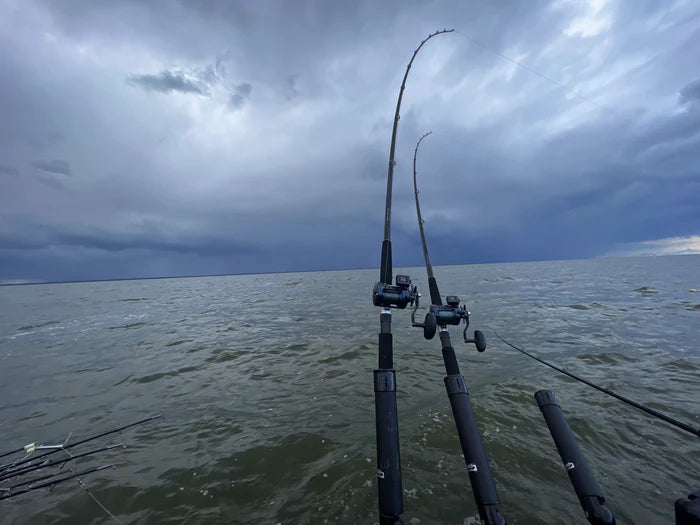blank and reel fishing equipment Thorne Bros F90M-BK-Trolling Blank