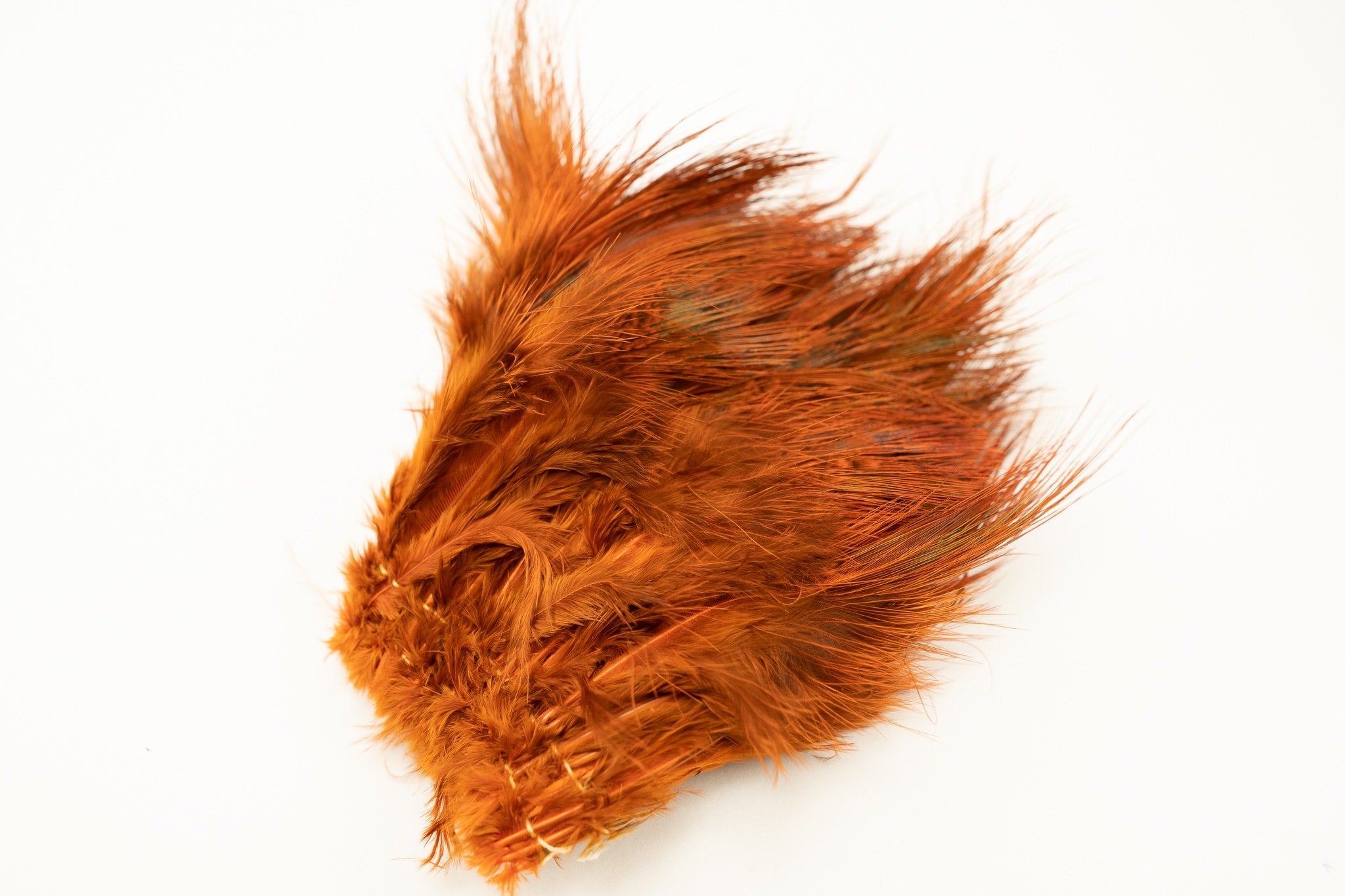 Wapsi Ringneck Rump Hackle