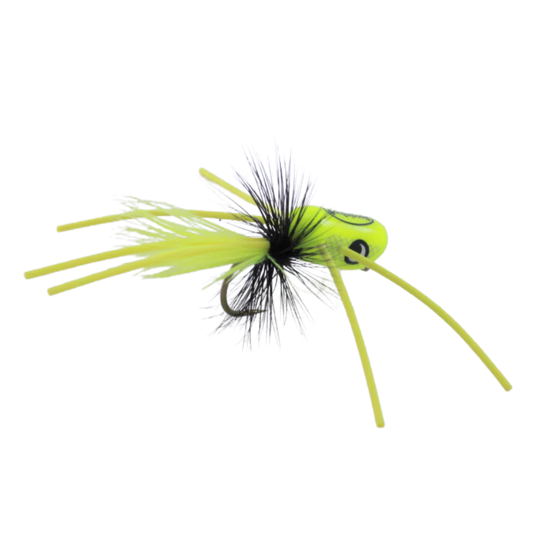Booglebug Amnesia Bug Popper #10