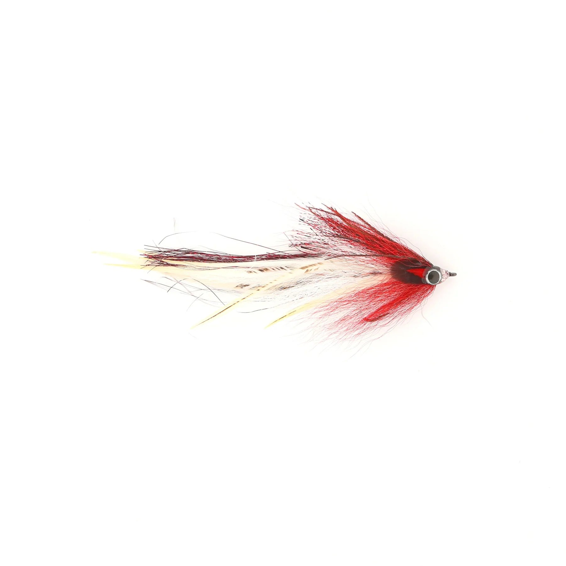 Close-up of a Single Minnow Urban Fly Co. fishing lure featuring red, white, and black feathers designed for musky fishing with realistic eye detail.