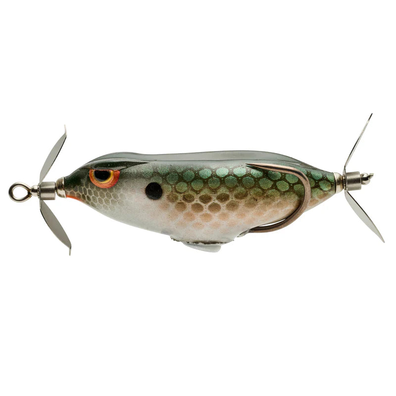 特選　camellia frog spore select 2芽 Spro Prop Frog-65