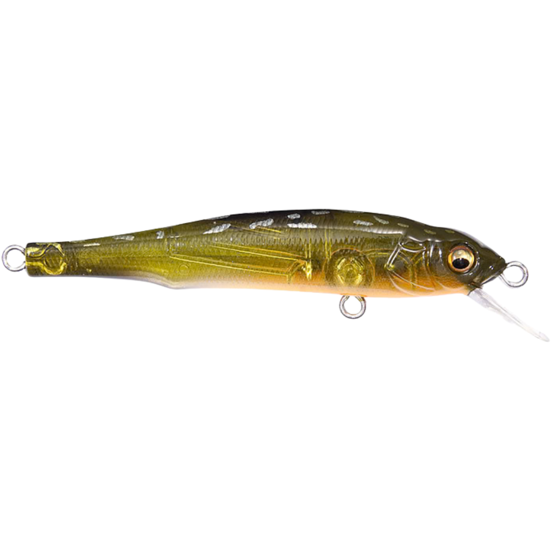 Megabass X-70 BFS