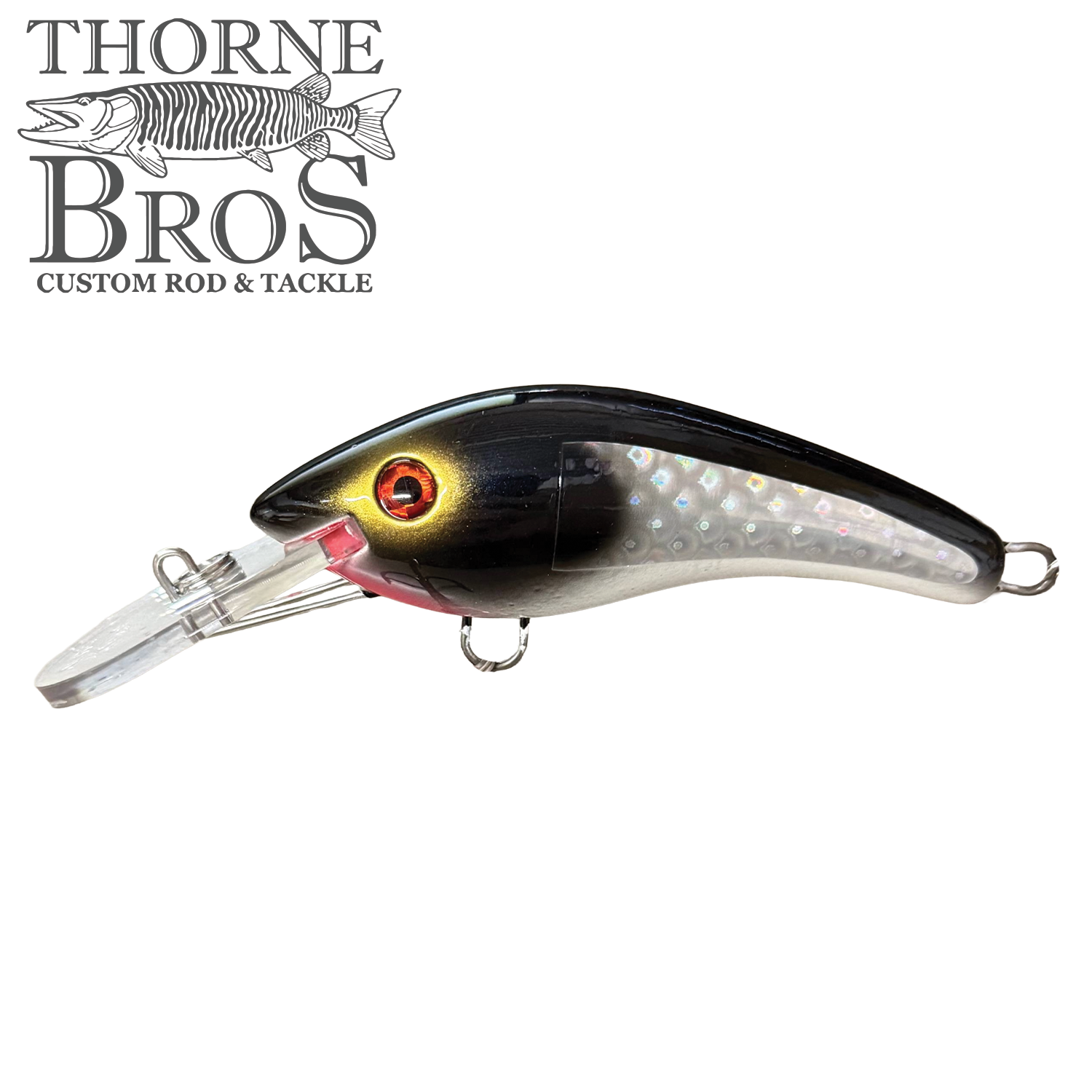 Blue Water Baits 5" K.O. Shad