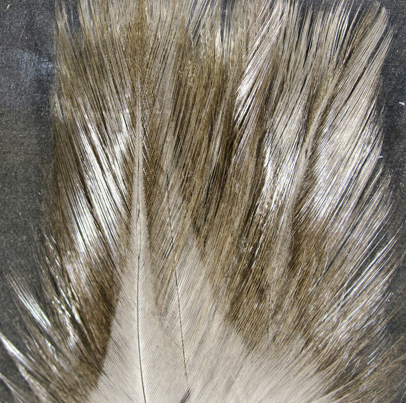 Hareline Coq De Leon Feathers