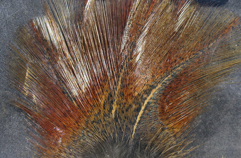 Hareline Coq De Leon Feathers