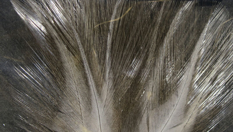 Hareline Coq De Leon Feathers