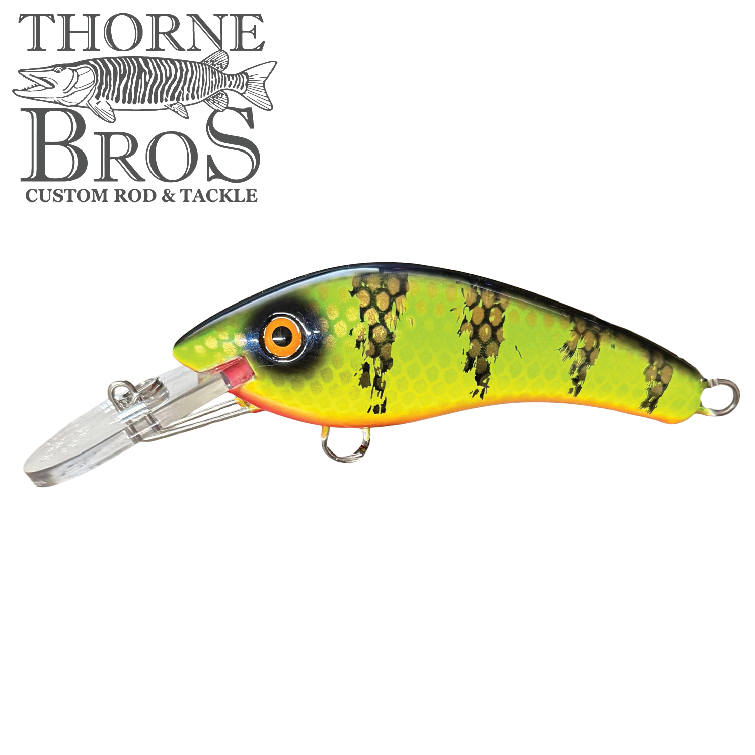 Blue Water Baits 5" K.O. Shad