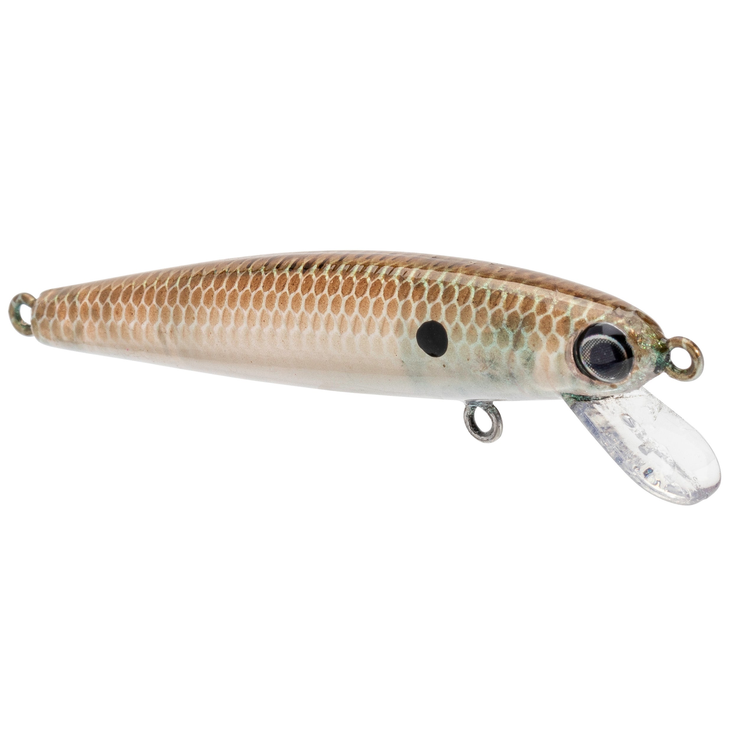 Strike King Bitsy Jerkbait