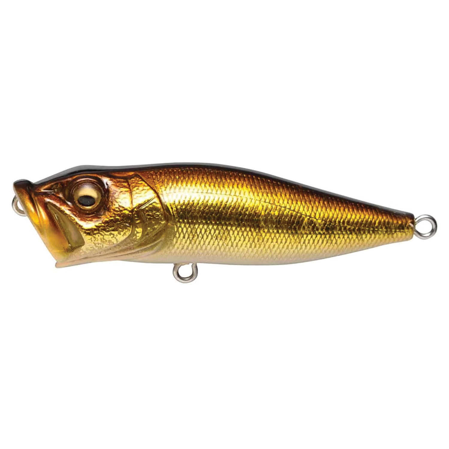 Megabass Pop-X