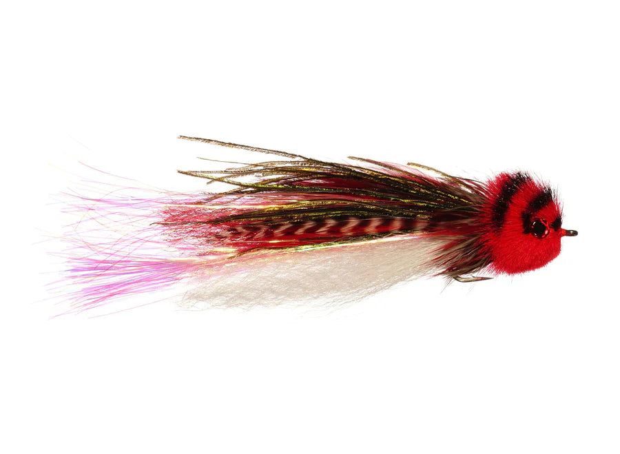 Rainy's El Chupacabra 4/0