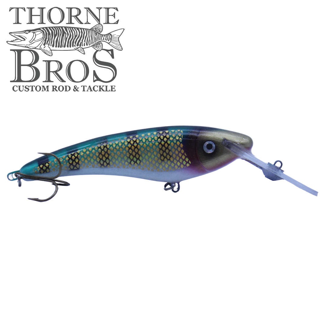 Slammer 6" Deep Shad