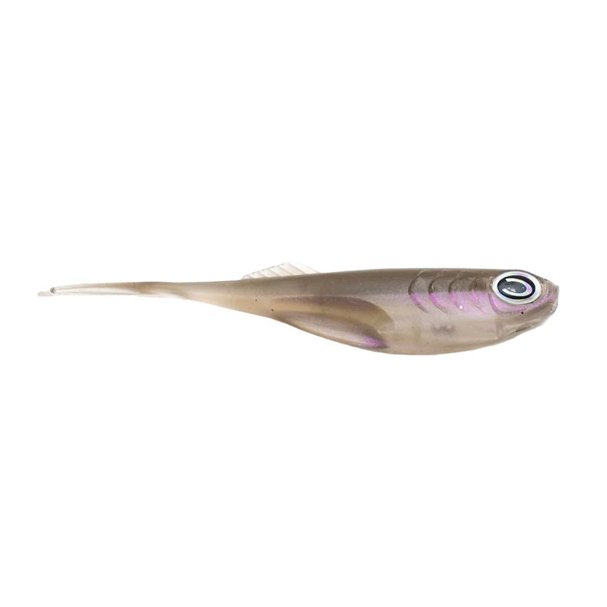 CAST Fishing Echo 2.75" soft plastic fishing lure resembling a small baitfish with a translucent brown body and realistic eye, designed for fishing tackle use.