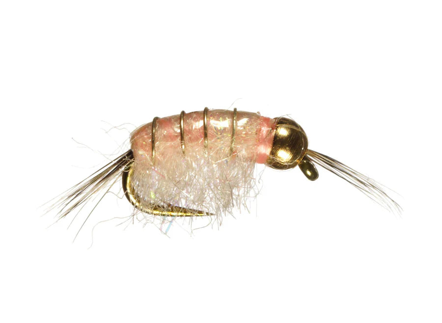 Close-up of a BH Scud #14 fishing lure featuring a segmented pink body, gold bead head, delicate wing fibers, and fine wire ribbing designed for fly fishing and fishing tackle use.