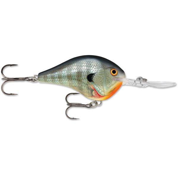 Rapala DT 14 Crankbait fishing lure designed with realistic bluegill colors, featuring two sharp treble hooks and a clear diving lip for deep water fishing.