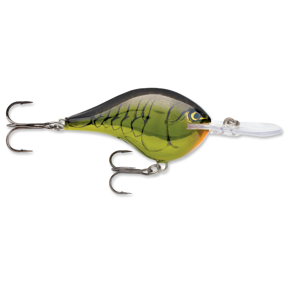 Rapala DT 14 Crankbait fishing lure in green and black with detailed scale pattern, equipped with two sharp treble hooks and a clear diving lip for deep water fishing.