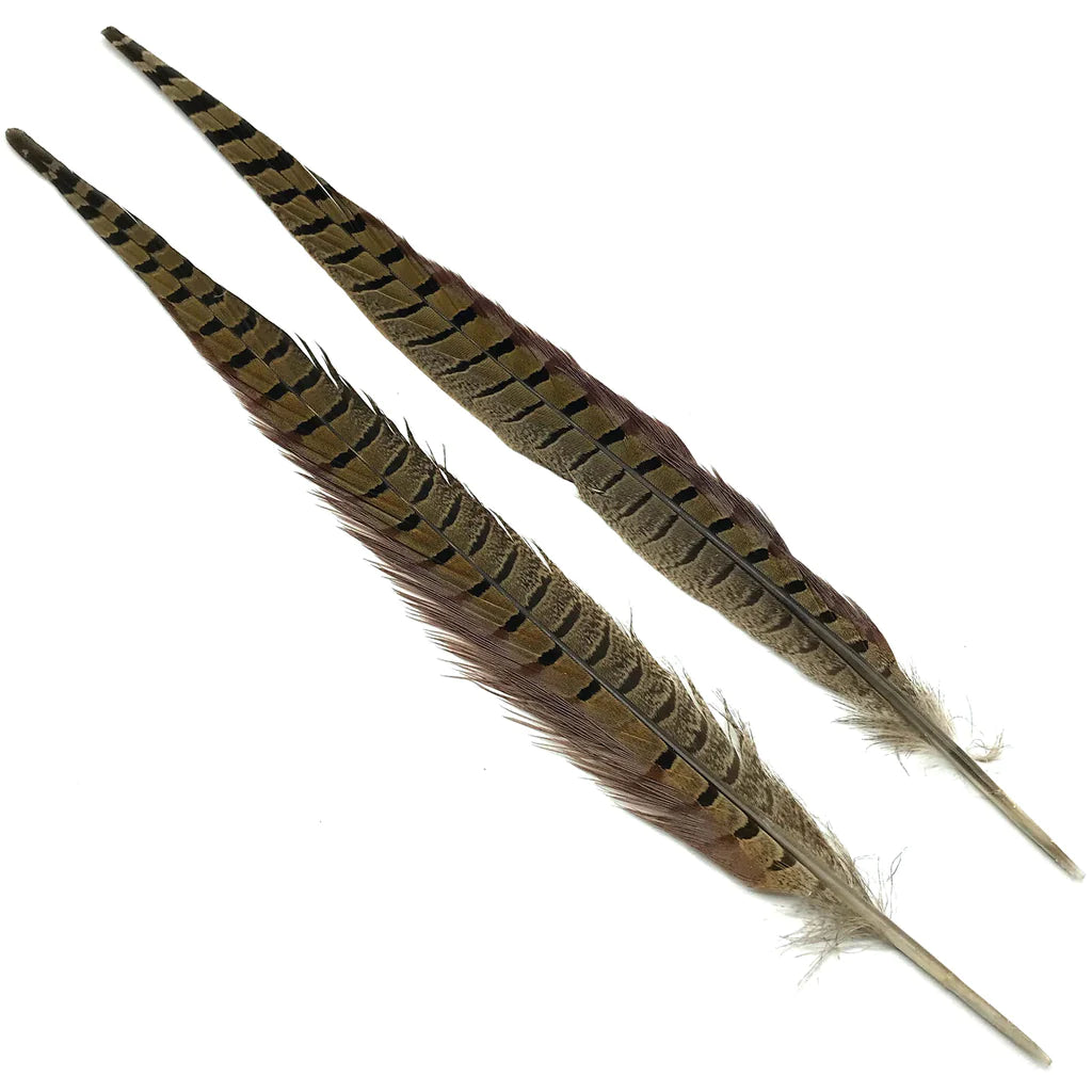 Hareline Ringneck Pheasant Tails