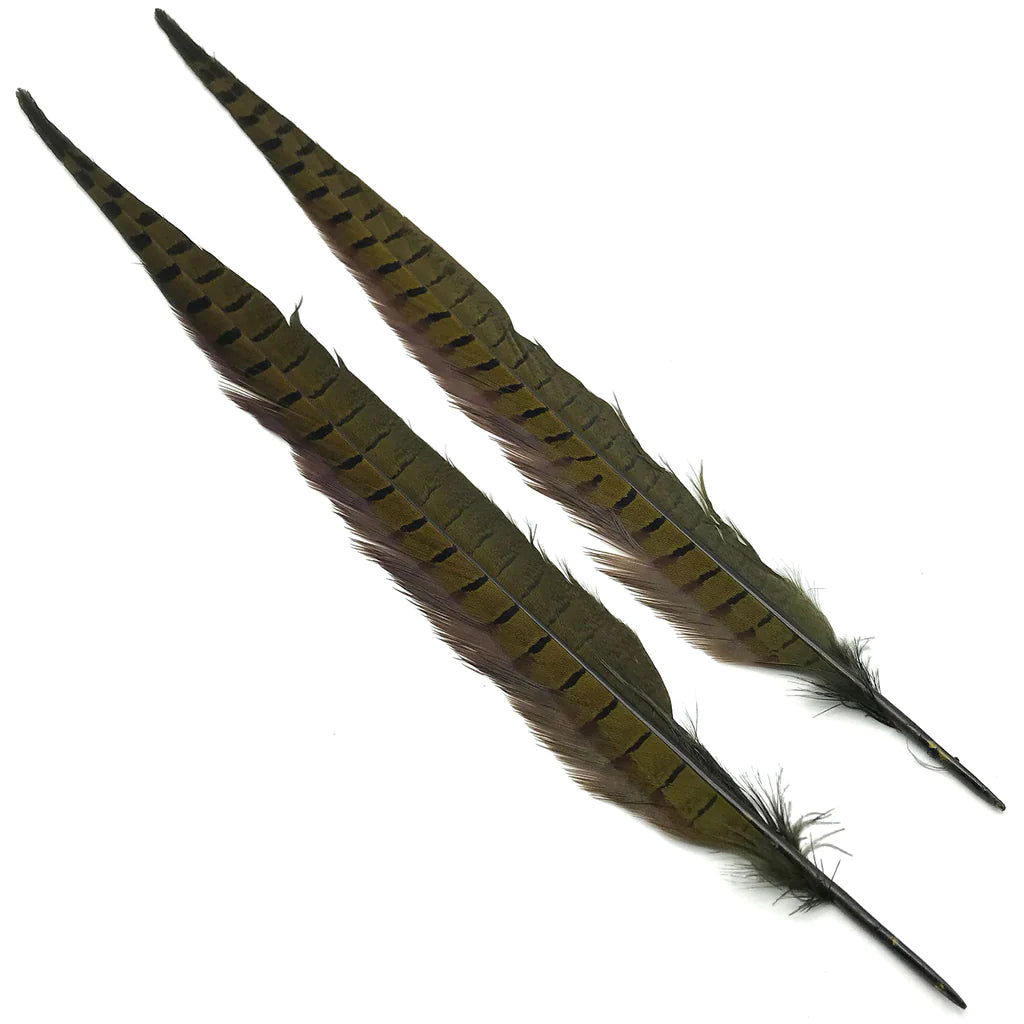 Hareline Ringneck Pheasant Tails