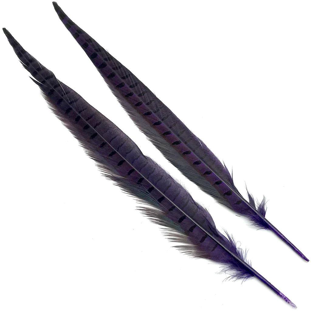 Hareline Ringneck Pheasant Tails