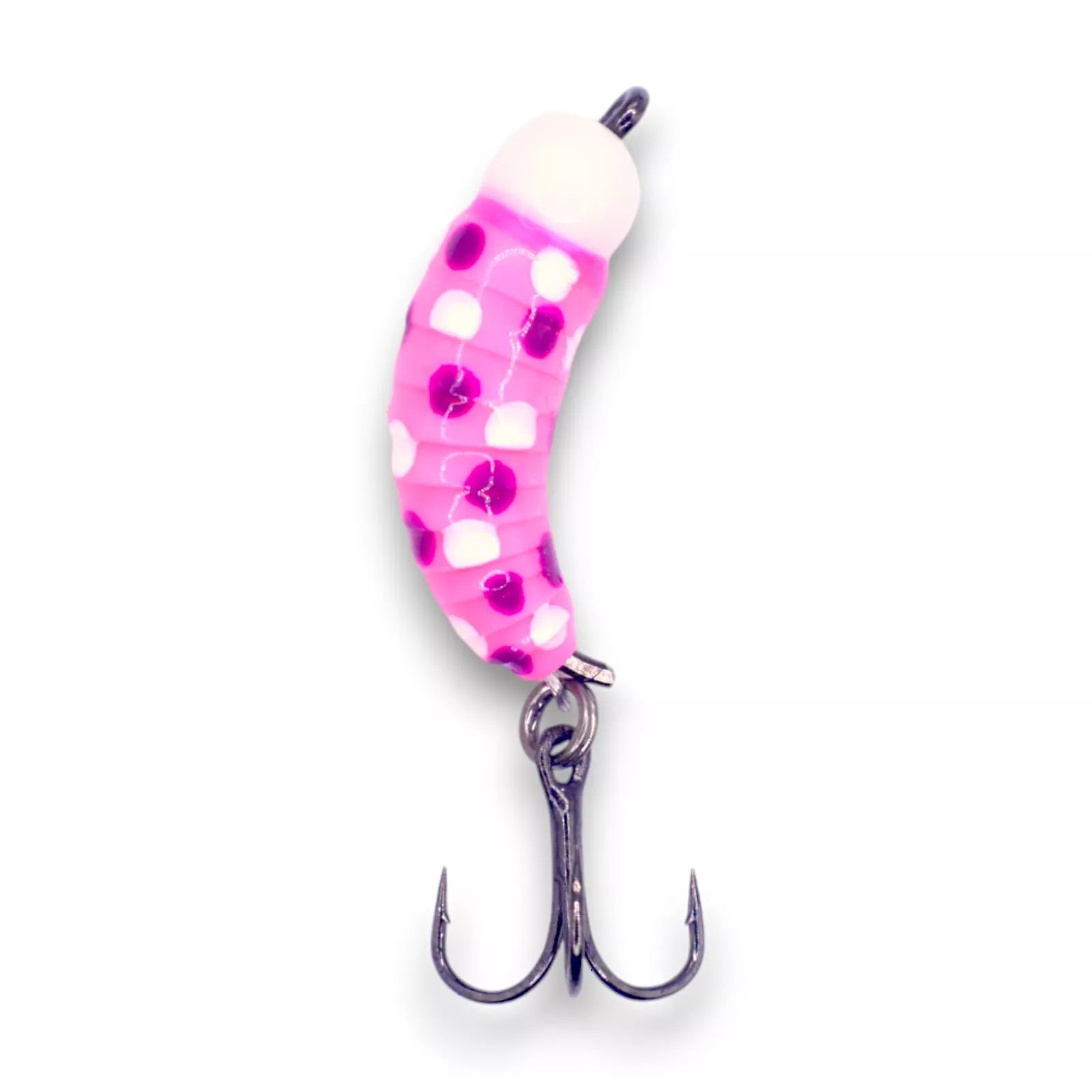 Kenders Tungsten Mighty Maggot Jr.