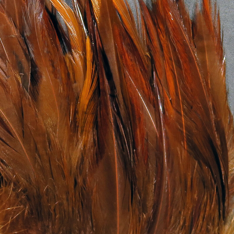 Close-up image of reddish-brown and black striped feathers used for fly fishing, displaying the Hareline Strung Saddle Hackle with fine, glossy fibers ideal for fishing tackle.