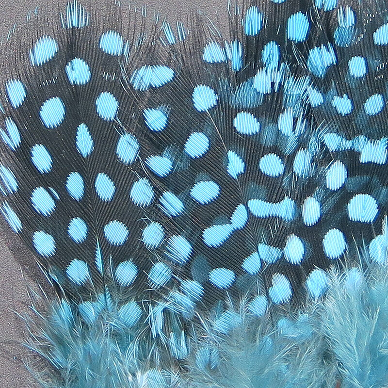 Hareline Strung Guinea Feathers