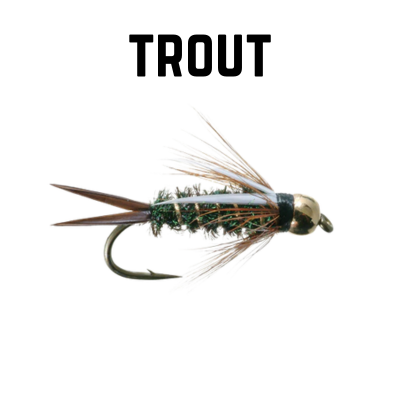 prince nymph wth text overlay trout
