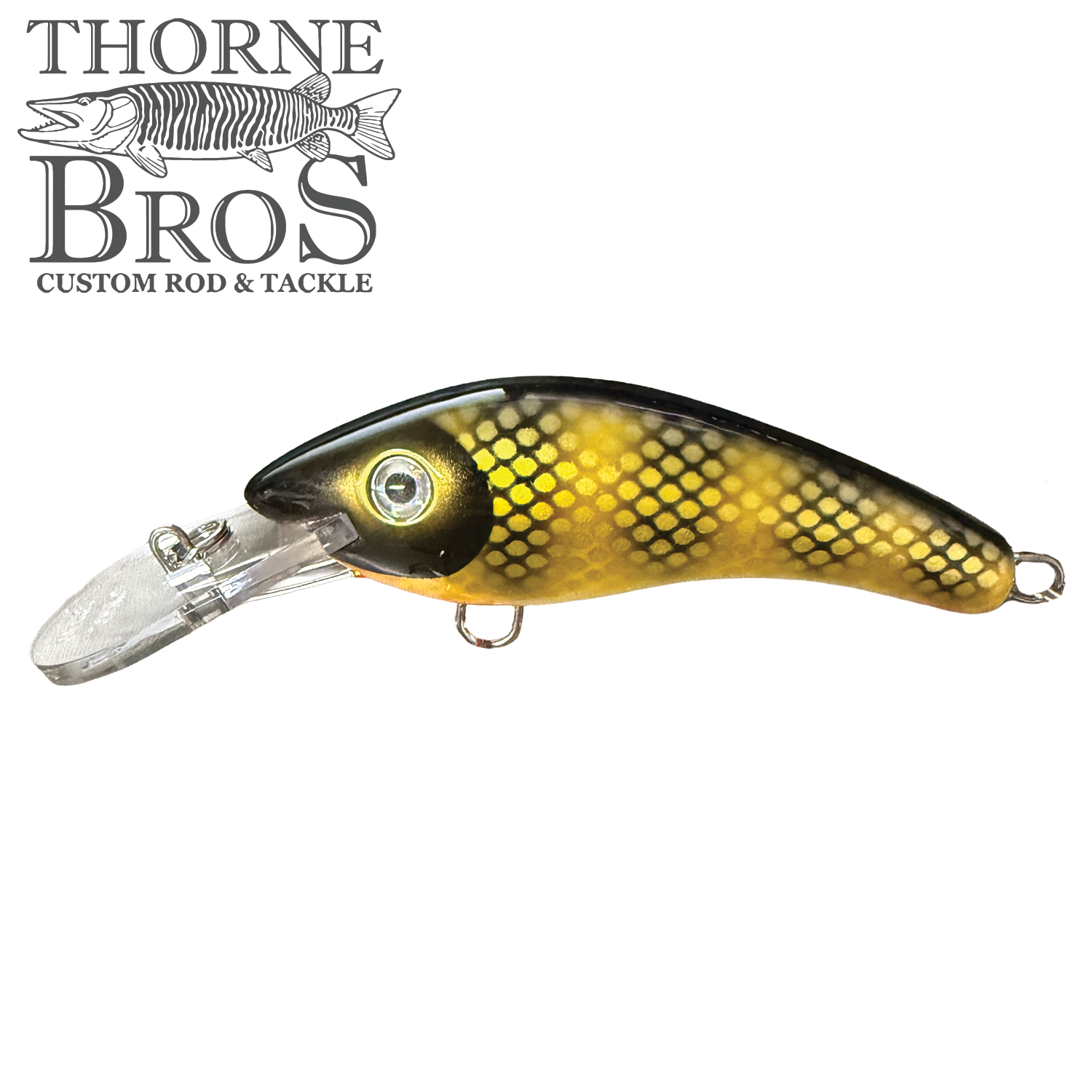 Blue Water Baits 5" K.O. Shad