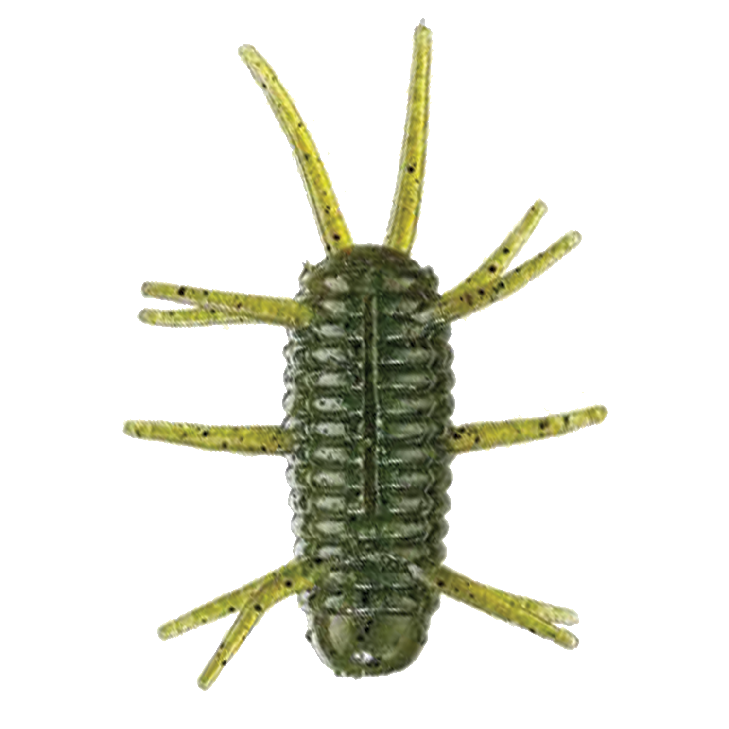 Smith Sink Spider