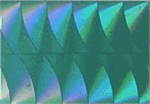WTP Lure Tape-Squiggles (3 Pack)