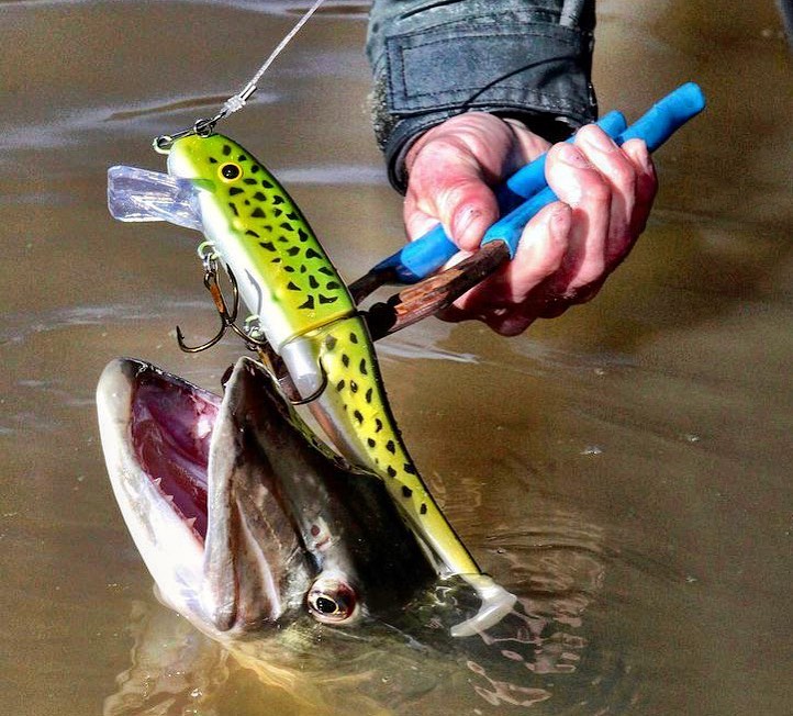Musky Innovations Swimmin' Invader