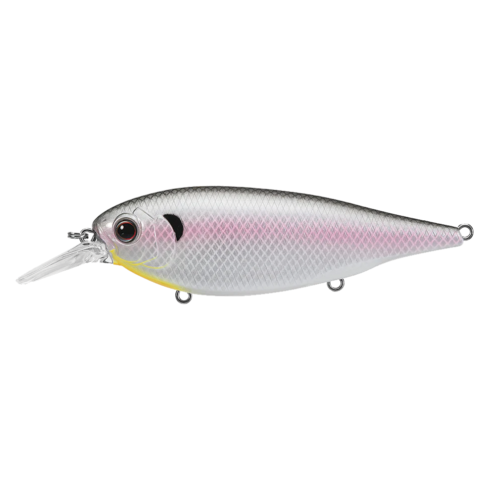 cinco fishing lure Evergreen XV-5