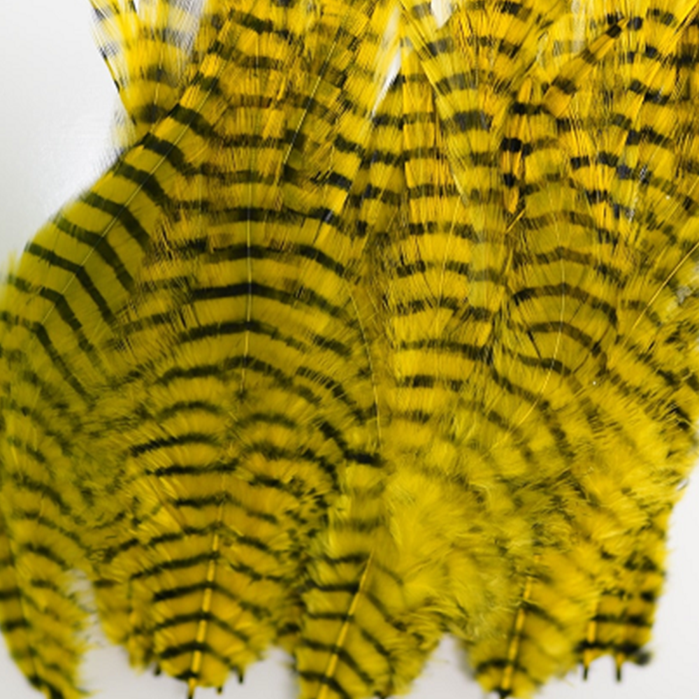 MFC Barred Saddle Hackle
