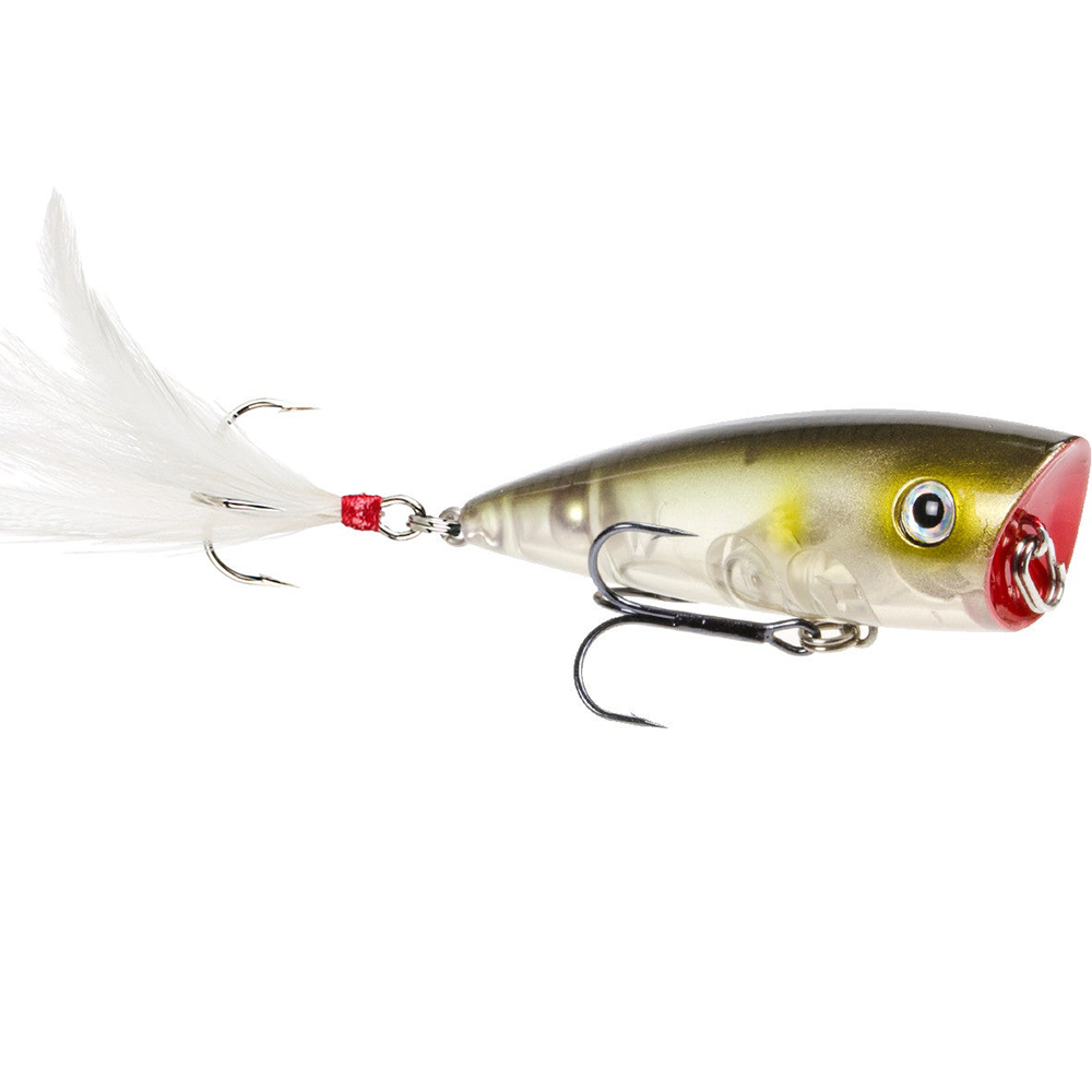 Strike King KVD Splash Popper