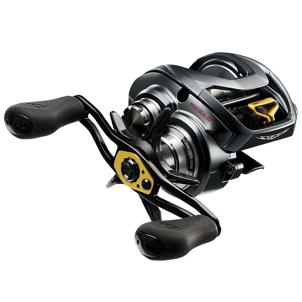 Daiwa Steez A TW