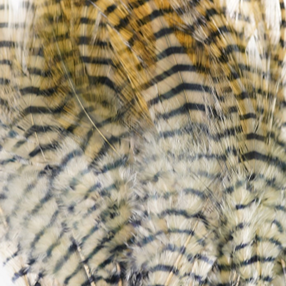 MFC Barred Saddle Hackle