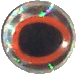 WTP 3D Molded Oblong Eyes